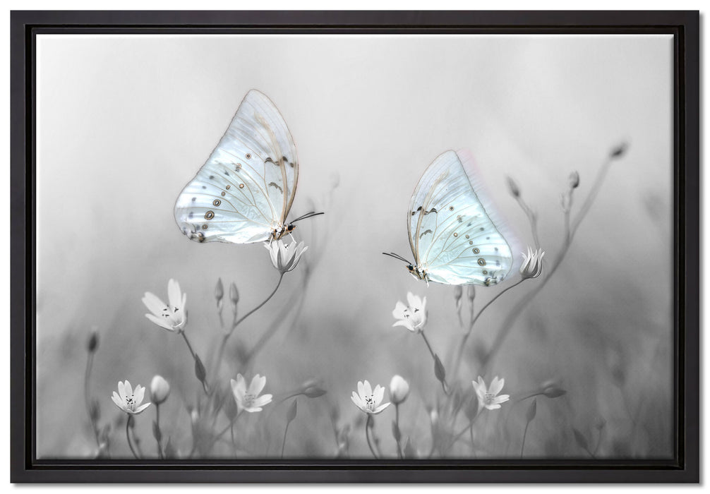 Schmetterling auf kleinen Blumen auf Leinwandbild gerahmt Größe 60x40