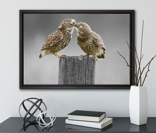 Küssende Eulen auf Leinwandbild gerahmt mit Kirschblüten