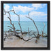 Strand mit Treibholz in Kuba auf Leinwandbild Quadratisch gerahmt Größe 40x40