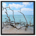 Strand mit Treibholz in Kuba auf Leinwandbild Quadratisch gerahmt Größe 60x60