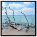 Strand mit Treibholz in Kuba auf Leinwandbild Quadratisch gerahmt Größe 70x70