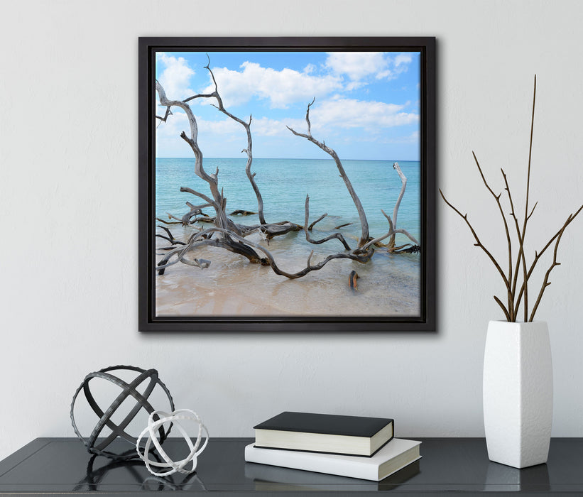 Strand mit Treibholz in Kuba  auf Leinwandbild Quadratisch gerahmt mit Kirschblüten