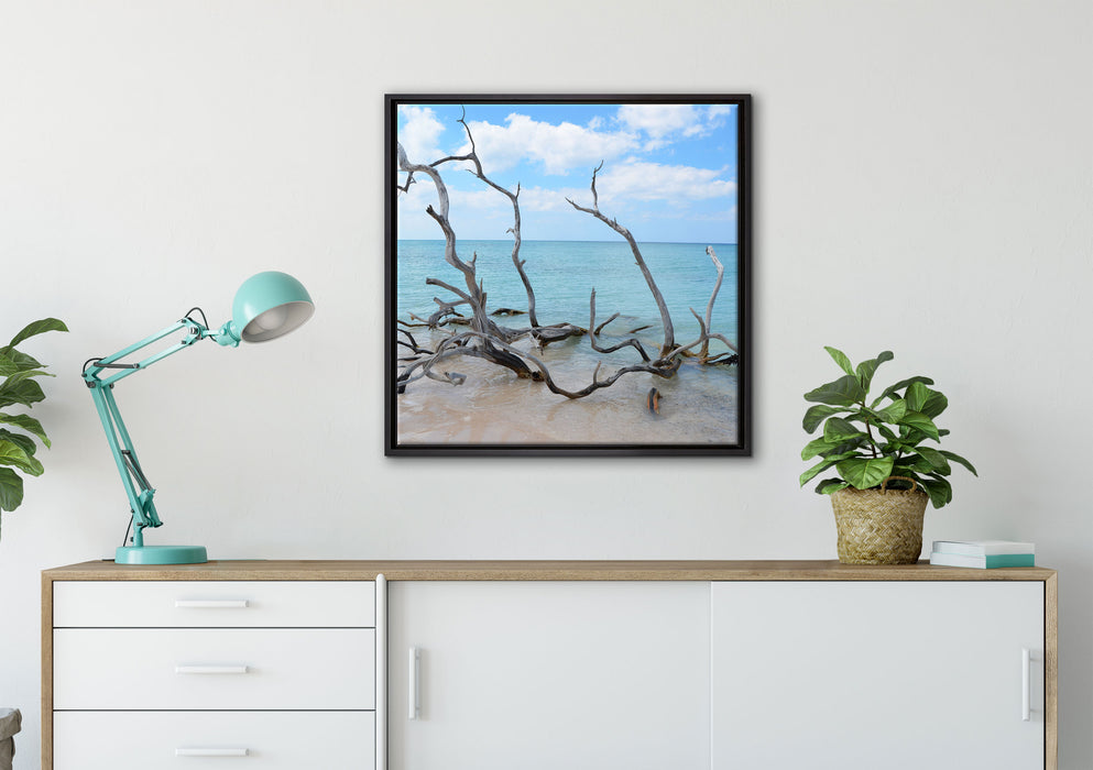 Strand mit Treibholz in Kuba auf Leinwandbild gerahmt Quadratisch verschiedene Größen im Wohnzimmer