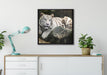 Stolzer weisser Tiger auf Leinwandbild gerahmt Quadratisch verschiedene Größen im Wohnzimmer