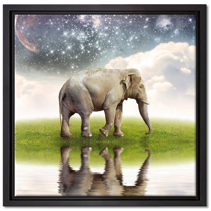 Einsamer Elefant Sternenhimmel auf Leinwandbild Quadratisch gerahmt Größe 40x40