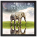 Einsamer Elefant Sternenhimmel auf Leinwandbild Quadratisch gerahmt Größe 40x40