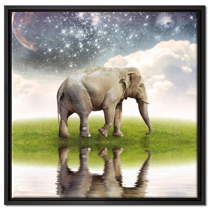 Einsamer Elefant Sternenhimmel auf Leinwandbild Quadratisch gerahmt Größe 60x60