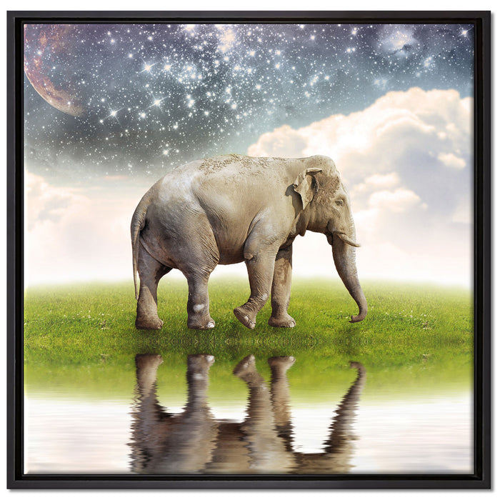 Einsamer Elefant Sternenhimmel auf Leinwandbild Quadratisch gerahmt Größe 70x70