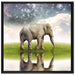 Einsamer Elefant Sternenhimmel auf Leinwandbild Quadratisch gerahmt Größe 70x70