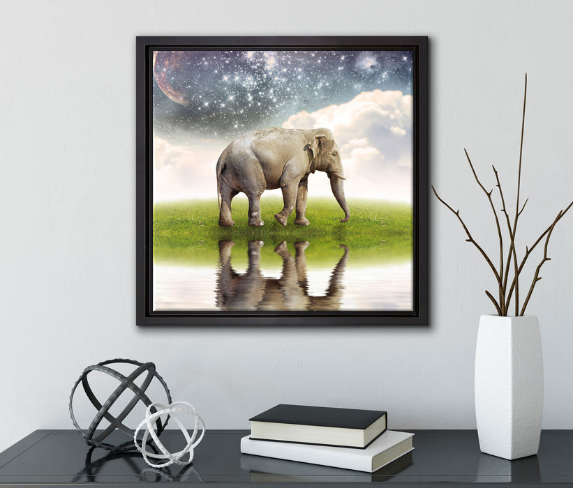 Einsamer Elefant Sternenhimmel  auf Leinwandbild Quadratisch gerahmt mit Kirschblüten