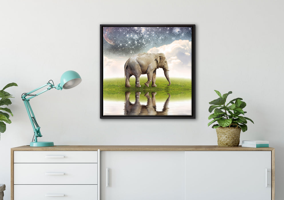Einsamer Elefant Sternenhimmel auf Leinwandbild gerahmt Quadratisch verschiedene Größen im Wohnzimmer