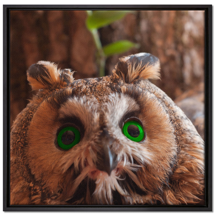 Wachsame Eule auf Leinwandbild Quadratisch gerahmt Größe 70x70