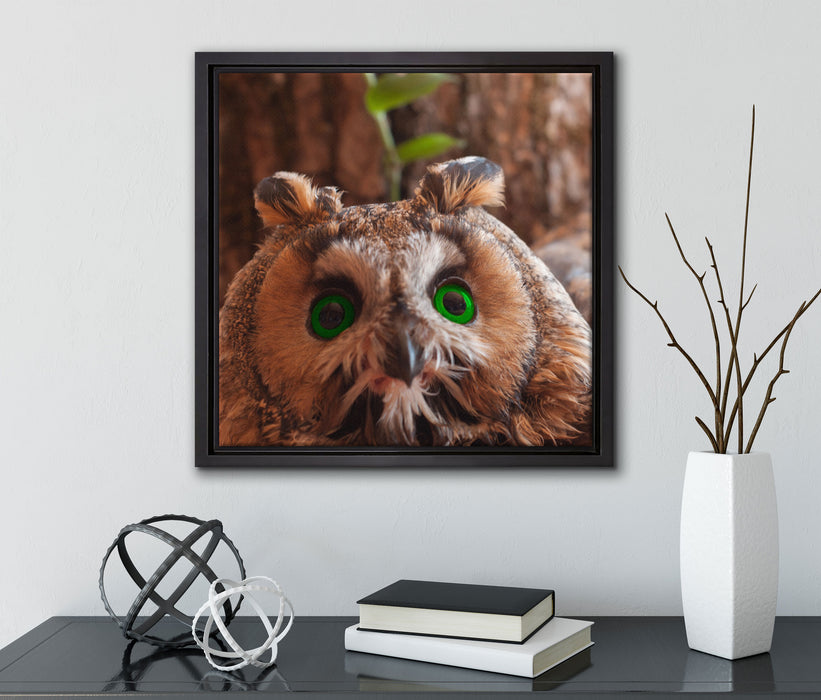 Wachsame Eule  auf Leinwandbild Quadratisch gerahmt mit Kirschblüten