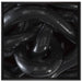 Schwarze elegante Schlange auf Leinwandbild Quadratisch gerahmt Größe 70x70