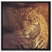 Anmutiger Leopard auf Leinwandbild Quadratisch gerahmt Größe 60x60
