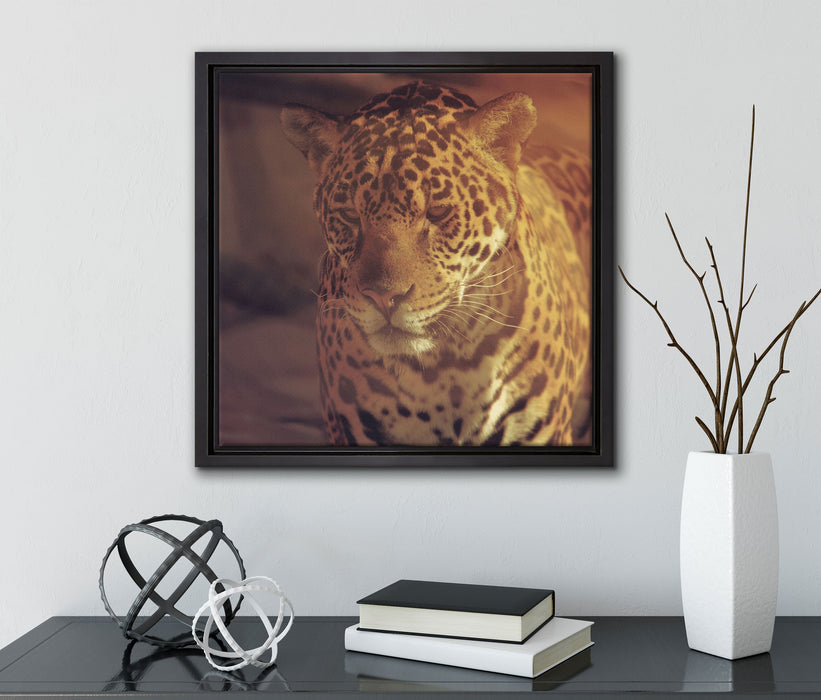 Anmutiger Leopard  auf Leinwandbild Quadratisch gerahmt mit Kirschblüten