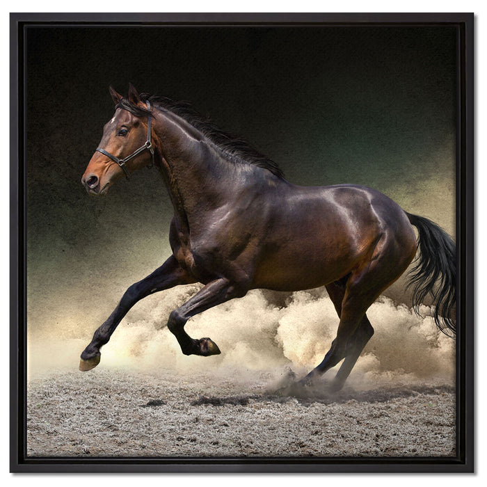 Anmutiges dunkles Pferd auf Leinwandbild Quadratisch gerahmt Größe 60x60