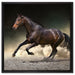 Anmutiges dunkles Pferd auf Leinwandbild Quadratisch gerahmt Größe 60x60