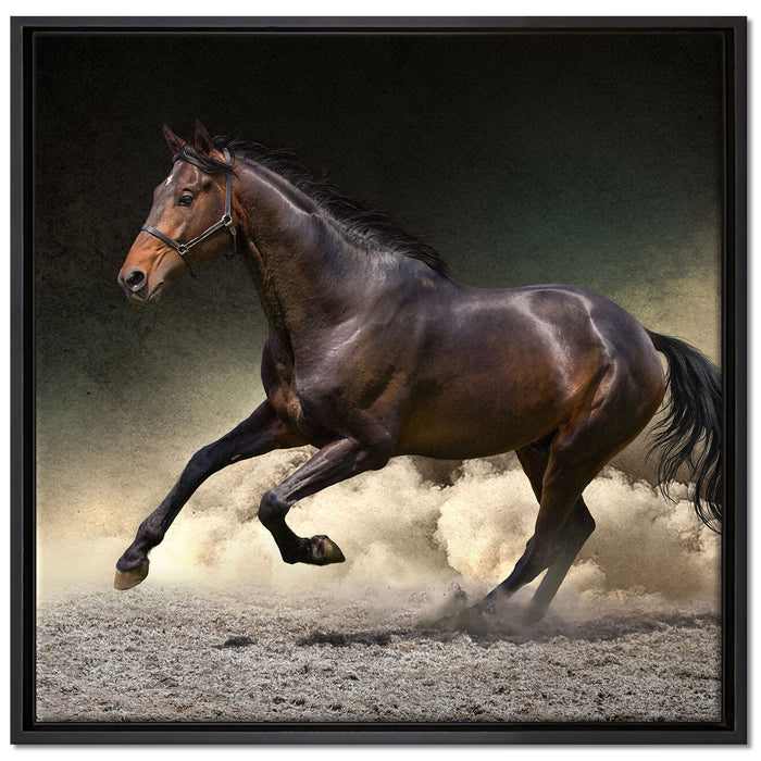 Anmutiges dunkles Pferd auf Leinwandbild Quadratisch gerahmt Größe 70x70
