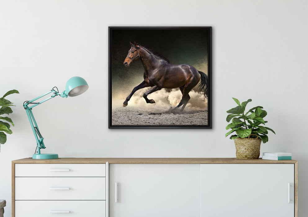 Anmutiges dunkles Pferd auf Leinwandbild gerahmt Quadratisch verschiedene Größen im Wohnzimmer