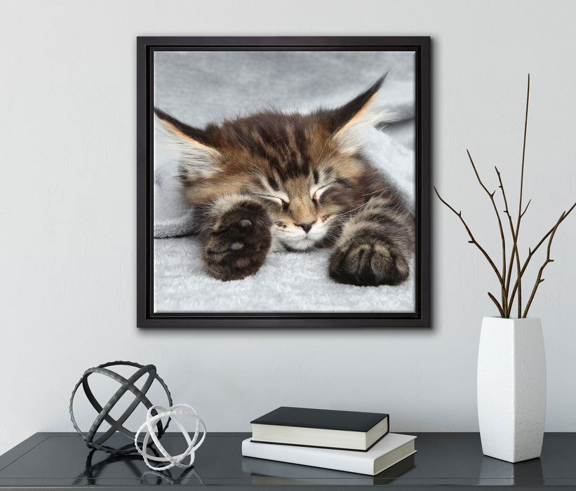 Kleines süßes Kätzchen  auf Leinwandbild Quadratisch gerahmt mit Kirschblüten