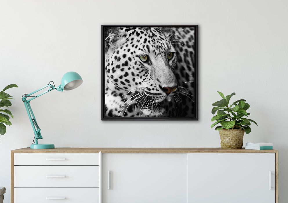 Stolzer Leopard auf Leinwandbild gerahmt Quadratisch verschiedene Größen im Wohnzimmer