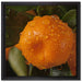 Saftige frische Orange auf Leinwandbild Quadratisch gerahmt Größe 40x40