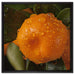 Saftige frische Orange auf Leinwandbild Quadratisch gerahmt Größe 60x60