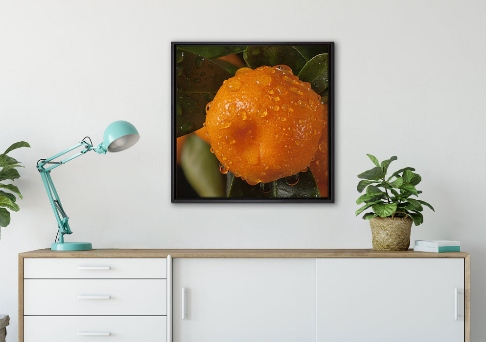 Saftige frische Orange auf Leinwandbild gerahmt Quadratisch verschiedene Größen im Wohnzimmer