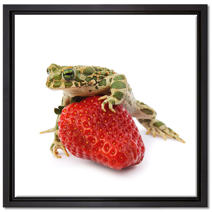 Kleiner Frosch sitzt auf Erdbeere auf Leinwandbild Quadratisch gerahmt Größe 40x40