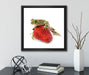 Kleiner Frosch sitzt auf Erdbeere  auf Leinwandbild Quadratisch gerahmt mit Kirschblüten