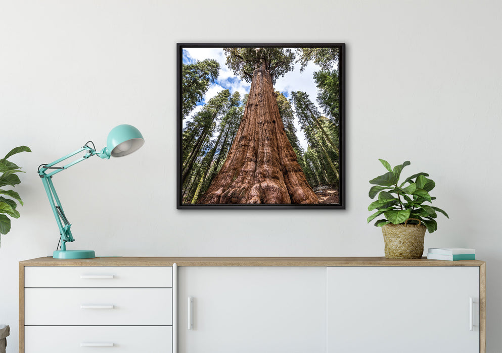Baum im Regenwald auf Leinwandbild gerahmt Quadratisch verschiedene Größen im Wohnzimmer