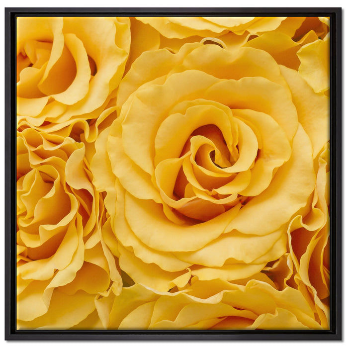 Wunderschöne gelbe Blüten auf Leinwandbild Quadratisch gerahmt Größe 70x70