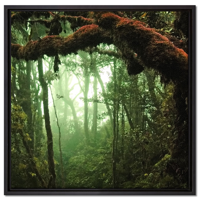 Geheimnisvoller Regenwald auf Leinwandbild Quadratisch gerahmt Größe 60x60