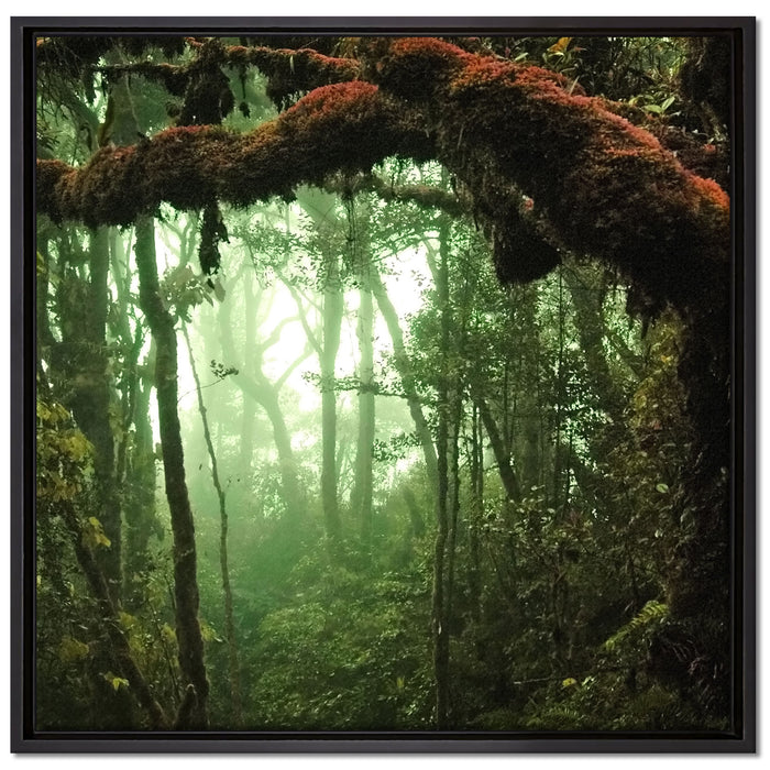 Geheimnisvoller Regenwald auf Leinwandbild Quadratisch gerahmt Größe 70x70