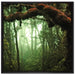 Geheimnisvoller Regenwald auf Leinwandbild Quadratisch gerahmt Größe 70x70