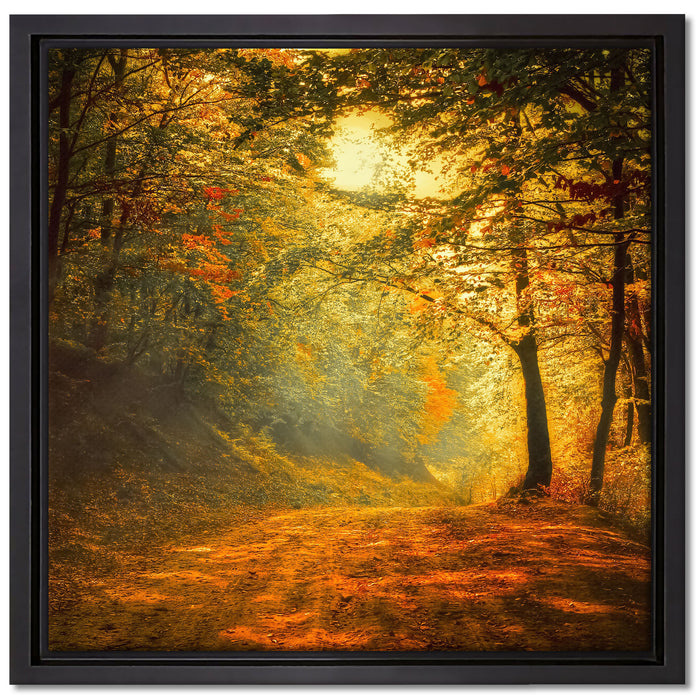 Wald auf Leinwandbild Quadratisch gerahmt Größe 40x40