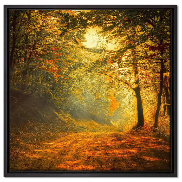 Wald auf Leinwandbild Quadratisch gerahmt Größe 60x60