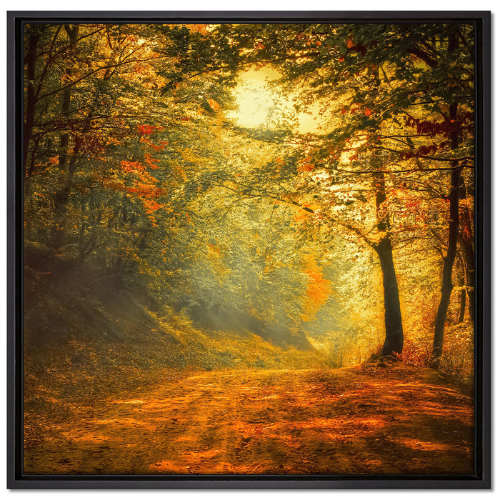 Wald auf Leinwandbild Quadratisch gerahmt Größe 70x70