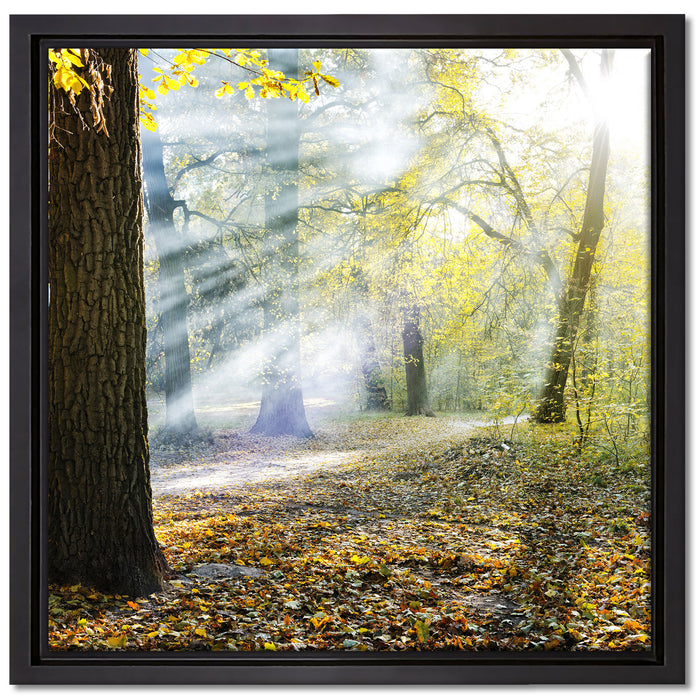 Sonnenstrahlen im Wald auf Leinwandbild Quadratisch gerahmt Größe 40x40