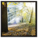 Sonnenstrahlen im Wald auf Leinwandbild Quadratisch gerahmt Größe 60x60
