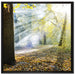 Sonnenstrahlen im Wald auf Leinwandbild Quadratisch gerahmt Größe 70x70