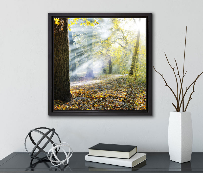 Sonnenstrahlen im Wald  auf Leinwandbild Quadratisch gerahmt mit Kirschblüten