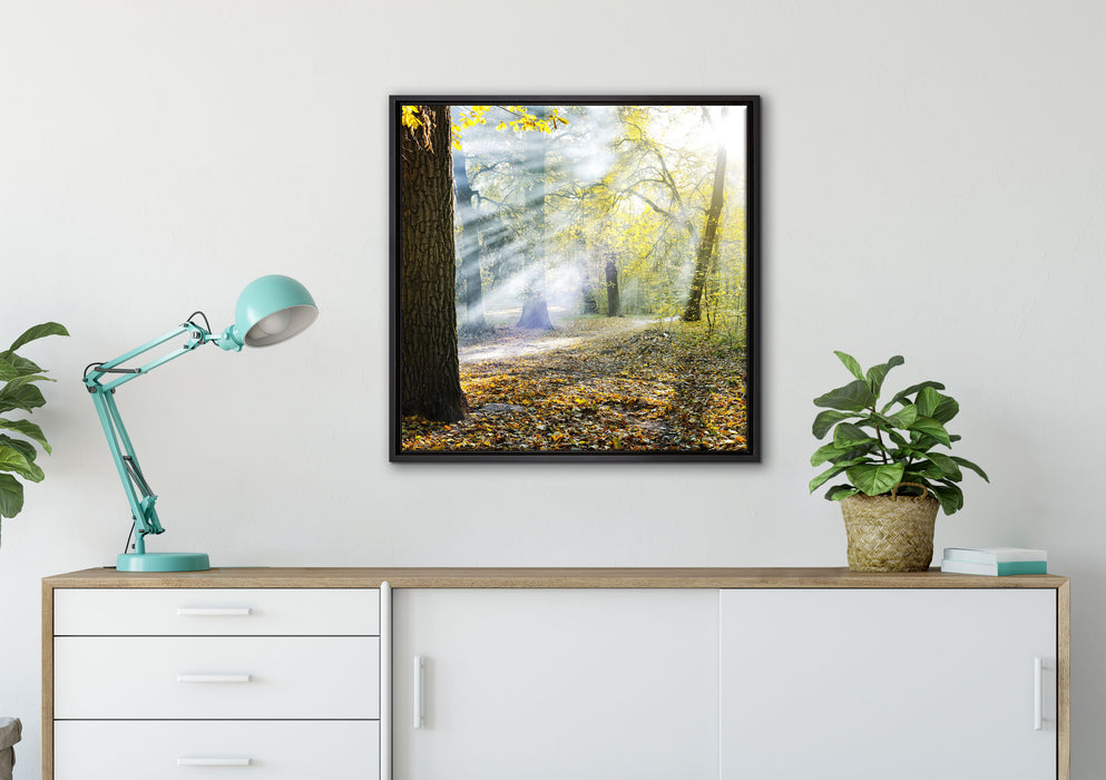 Sonnenstrahlen im Wald auf Leinwandbild gerahmt Quadratisch verschiedene Größen im Wohnzimmer