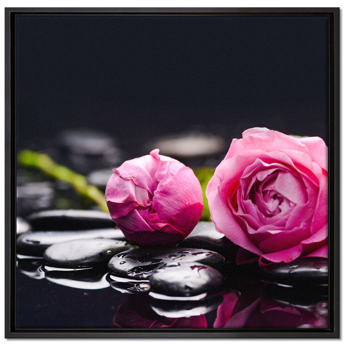 Rosa Rosenblüte Hintergrund auf Leinwandbild Quadratisch gerahmt Größe 70x70