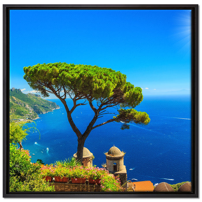 baum am blauen meer auf Leinwandbild Quadratisch gerahmt Größe 70x70