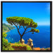 baum am blauen meer auf Leinwandbild Quadratisch gerahmt Größe 70x70