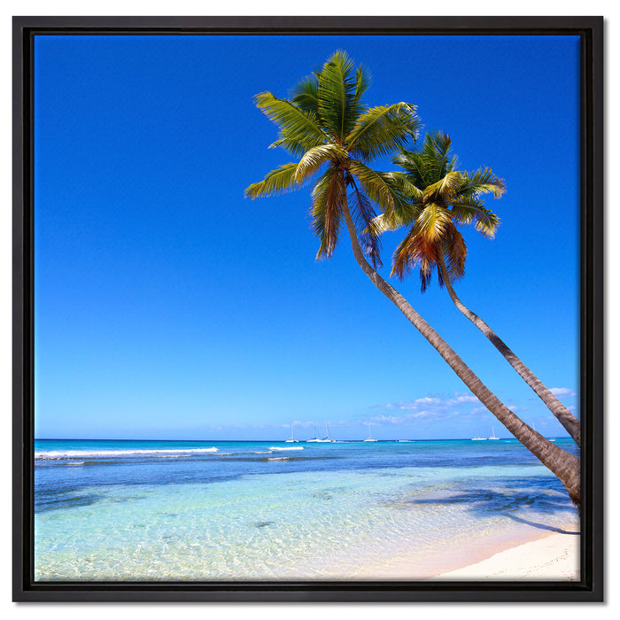 Palmen am Strand auf Leinwandbild Quadratisch gerahmt Größe 60x60