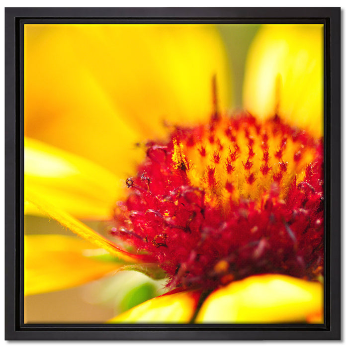 Blüte Nahaufnahme auf Leinwandbild Quadratisch gerahmt Größe 40x40