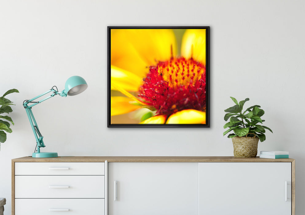 Blüte Nahaufnahme auf Leinwandbild gerahmt Quadratisch verschiedene Größen im Wohnzimmer